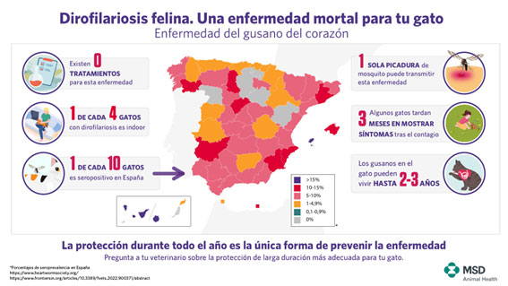 Zonas de riesgo en España filaria